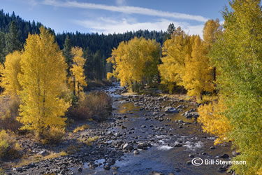 Fall Along the Truckee River by Bill Stevenson