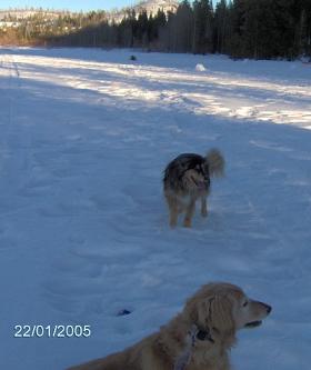 Jewel Storz and Dakota Storz playing in the snow