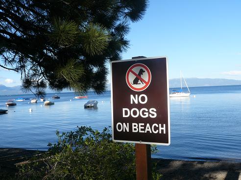 William Kent Beach at Lake Tahoe, California