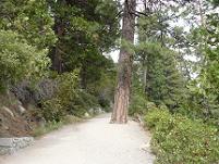 Vikingsholm Trail at Emerald Bay at  Lake Tahoe
