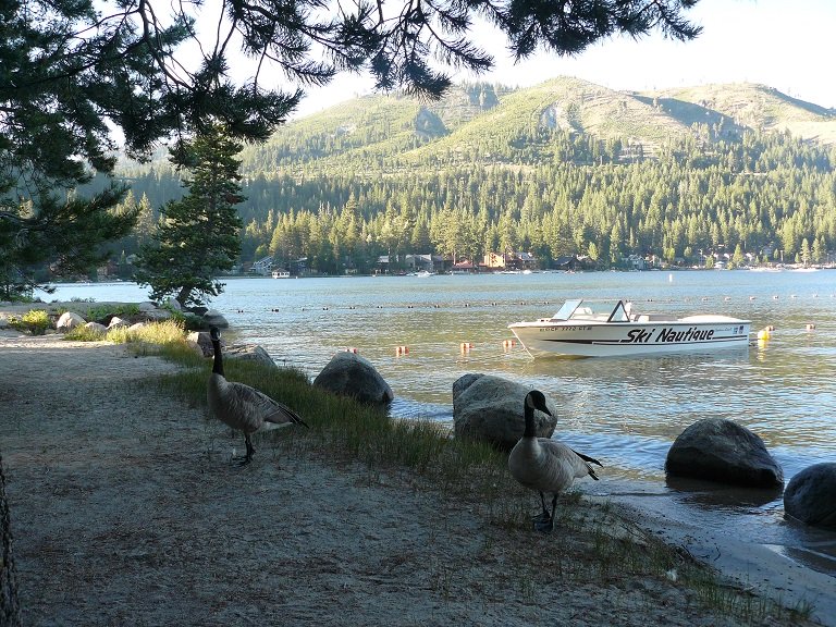 Boat and Canadian Geese at Donner Lake in Truckee, CA