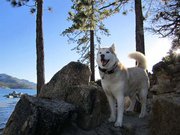 Incline Village's  Alive Facebook Photo