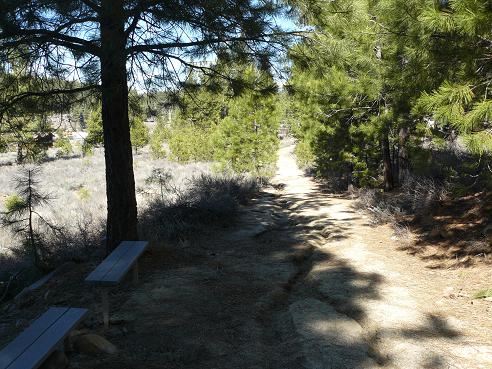 Truckee River Regional Park Nature Trail in Truckee, CA