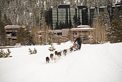 Dog Sledding in Olympic Valley at the Resort at Squaw Creek