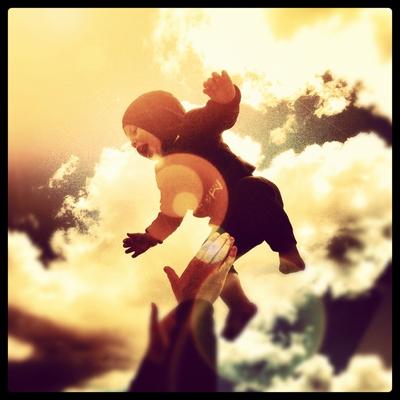 See Jack Fly