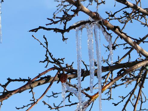 Truckee Ice in Downtown Truckee on 01-10-11 Truckee Ice in Downtown Truckee on 01-10-11