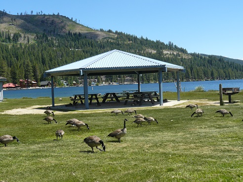 Covered Pavillion area at West End Beach at Donner Lake in Truckee, California
