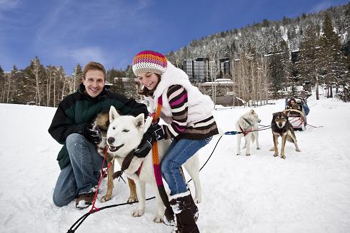 Dog Sledding in Olympic Valley at the Resort at Squaw Creek