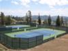 High Camp Tennis