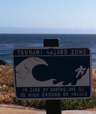 Tsunami Warning Sign