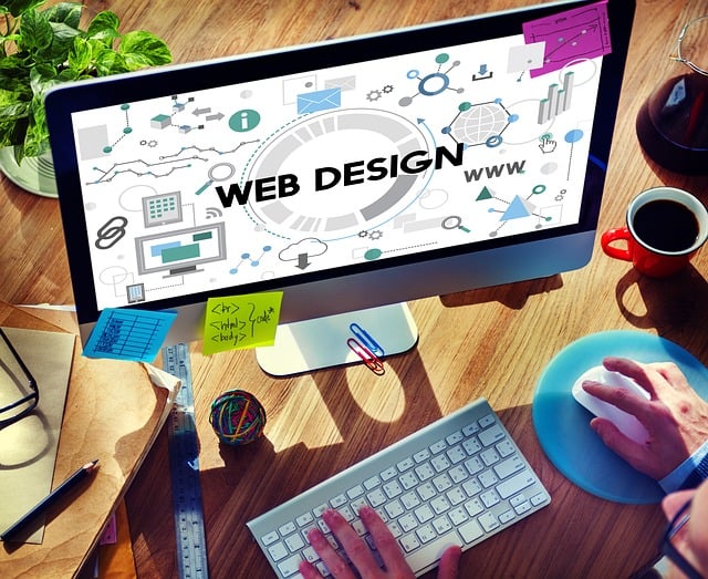 Web Design - How to Build a Website or E-Business from SBI (Solo Build It)