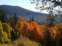 Fall in Hope Valley, CA