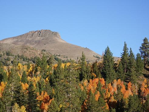 Hope Valley - Hwy 88 between South Lake Tahoe & Kirkwood