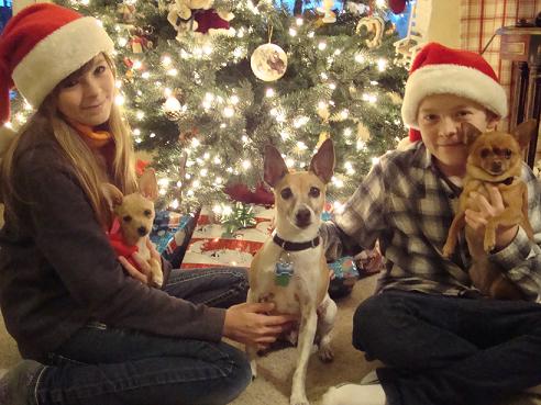 Kyle and Amanda with their pups at Christmas