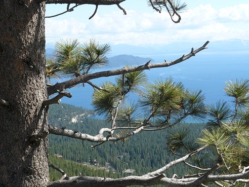 Incline Village and Lake Tahoe as viewed from the Mt. Rose viewpoint