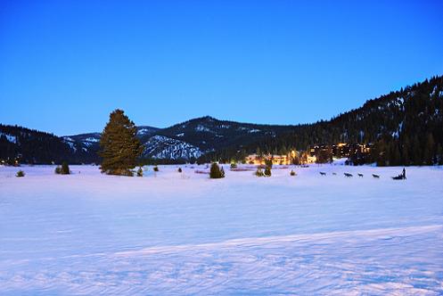 Dog Sledding in Olympic Valley at the Resort at Squaw Creek